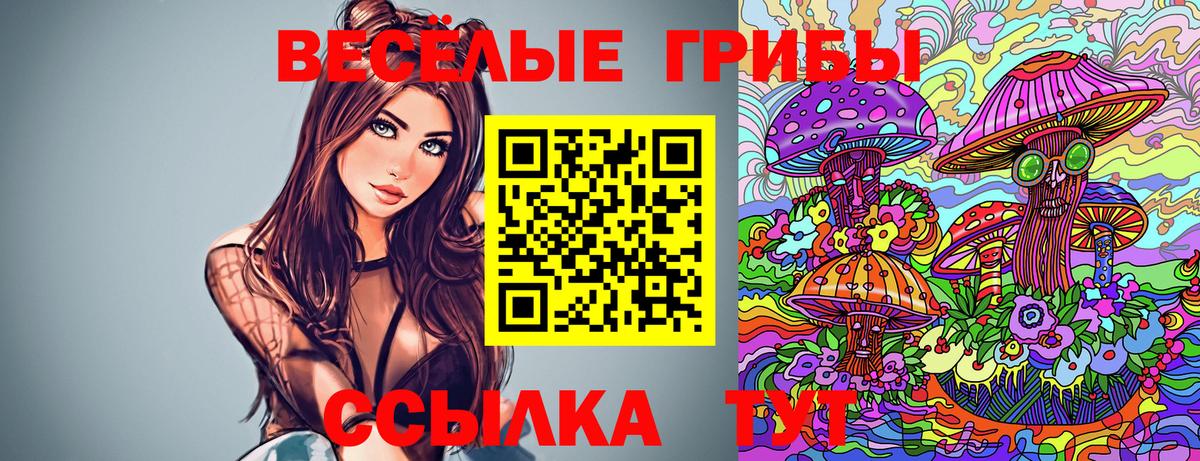Псилоцибиновые грибы мухоморы  Вход с VPN  Моздок 